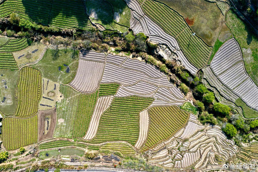 Galeria: campos arados durante primavera de Fujian