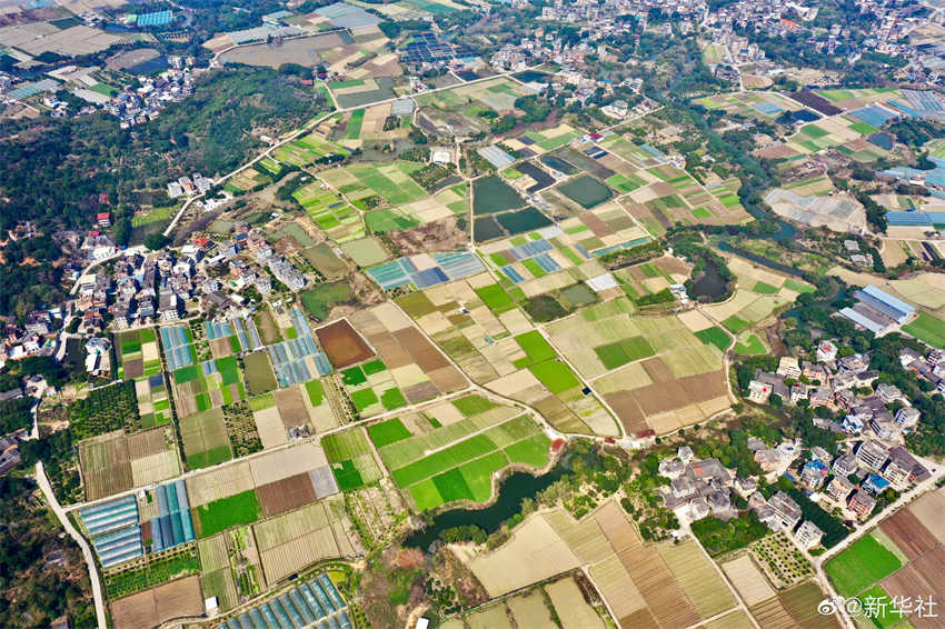 Galeria: campos arados durante primavera de Fujian