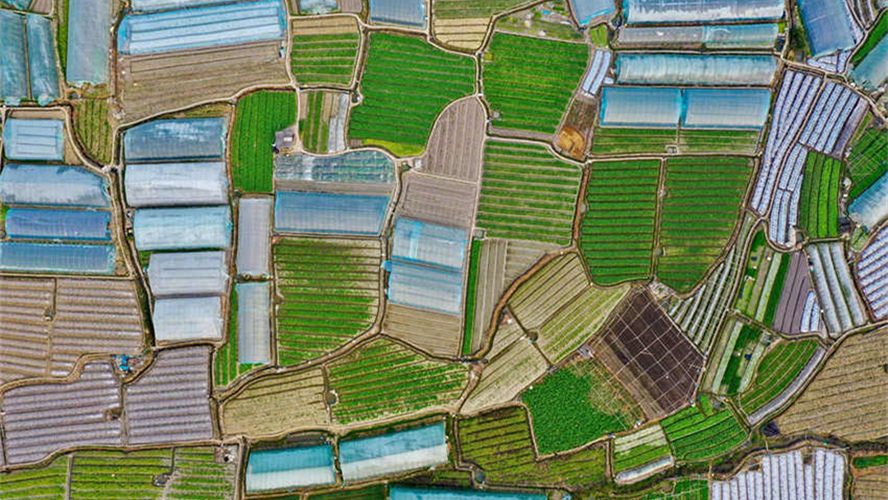 Galeria: campos arados durante primavera de Fujian
