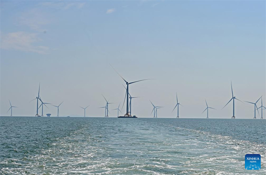 Primeiro projeto de demonstração de energia eólica de Guangxi está em construção