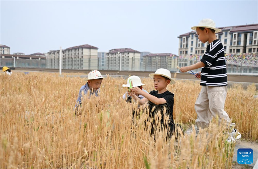 Nova Área de Xiong'an promove construção da educação de alta qualidade