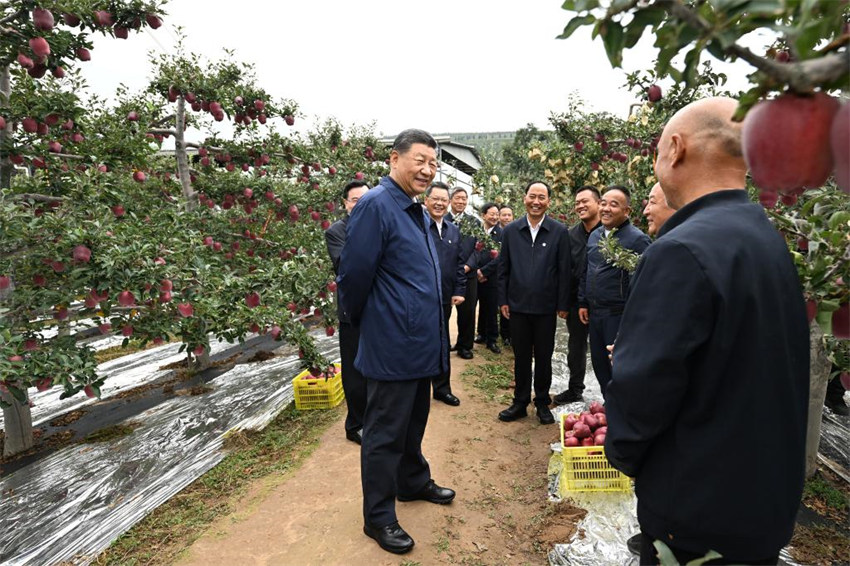 Xi Jinping faz inspeções nas províncias de Shaanxi e Gansu, no noroeste da China
