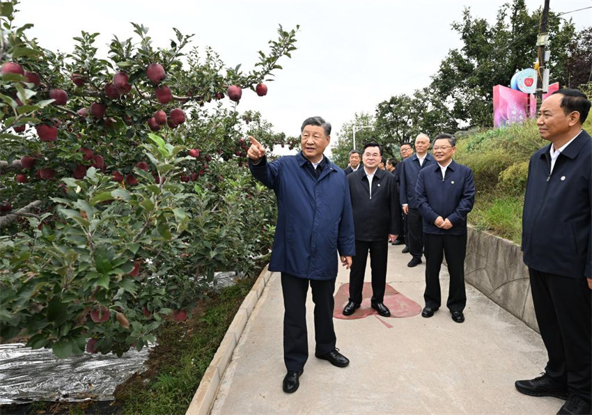 Xi Jinping faz inspeções nas províncias de Shaanxi e Gansu, no noroeste da China