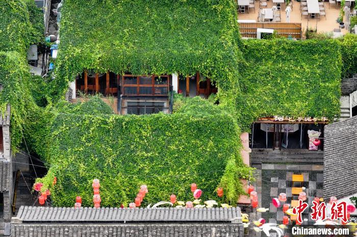 Prédios antigos em Nanjing estão cobertos de verde