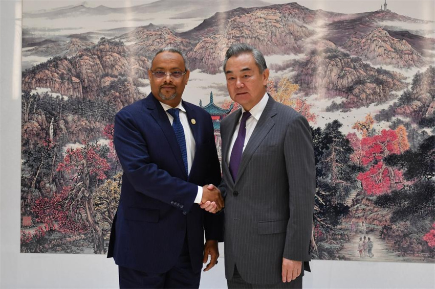 Ministros das Relações Exteriores da China e da África prometem laços mais fortes