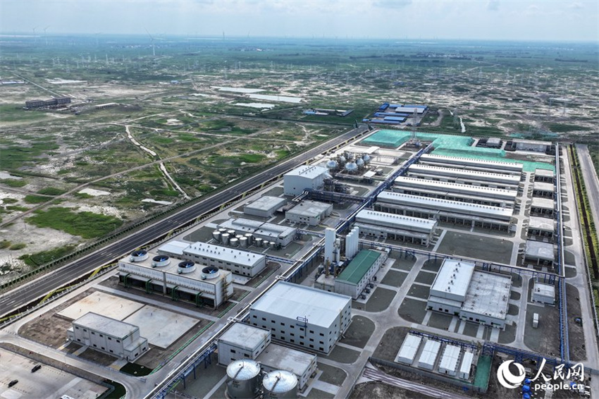 Novos projetos de energia surgem na região oeste de Jilin, no nordeste da China