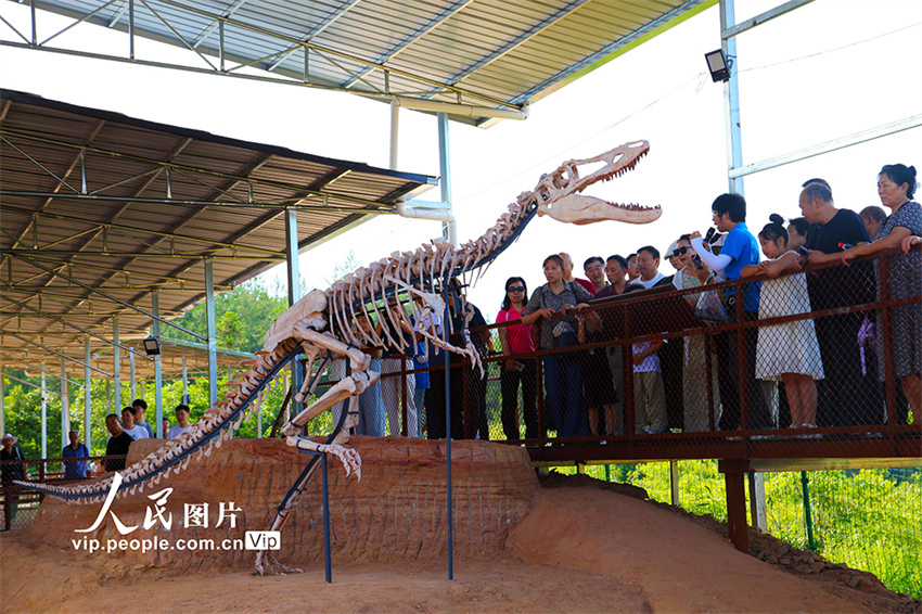 Chongqing: Parque do Sítio dos Dinossauros recebe uma onda de visitantes