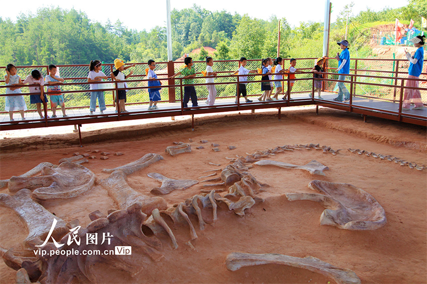 Chongqing: Parque do Sítio dos Dinossauros recebe uma onda de visitantes