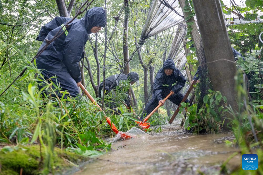 Províncias do leste da China intensificam prevenção de desastres para o tufão Co-May