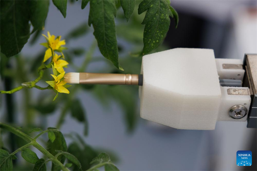 Cientistas chineses desenvolvem primeiro robô de reprodução inteligente de processo completo do mundo