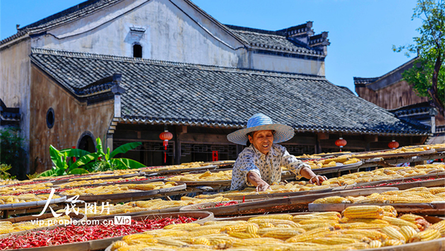 Secagem de grãos atrai turistas para vila antiga de Anhui, leste da China