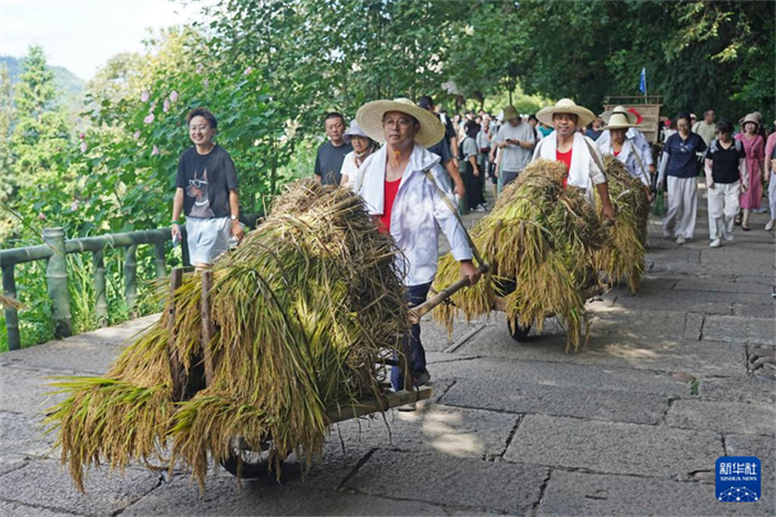 China celebra o 8º Festival de Safra