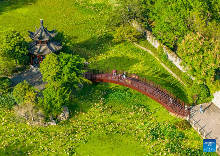 Galeria: paisagem outonal em toda a China