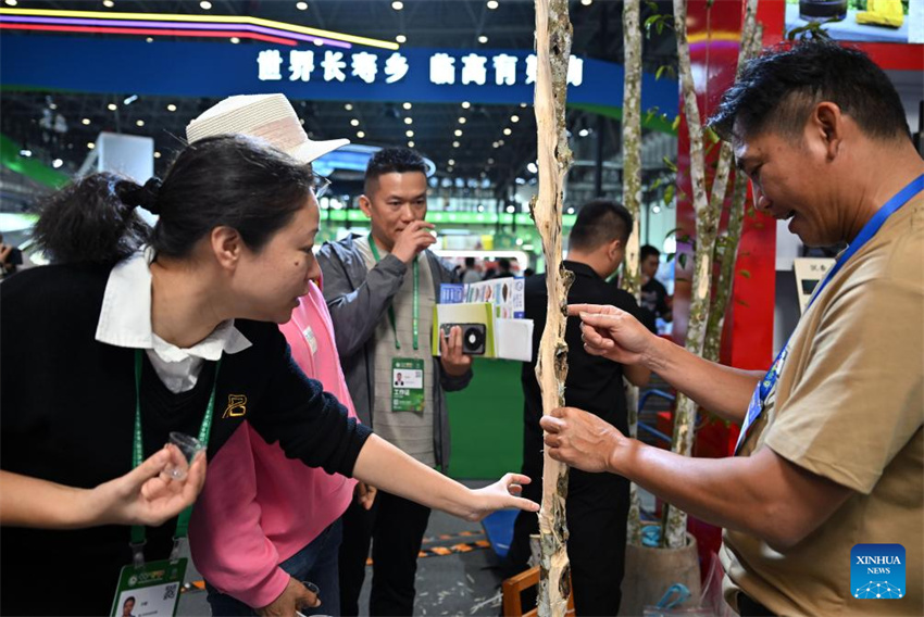 28ª Feira Internacional de Inverno da China (Hainan) inaugurada em Haikou