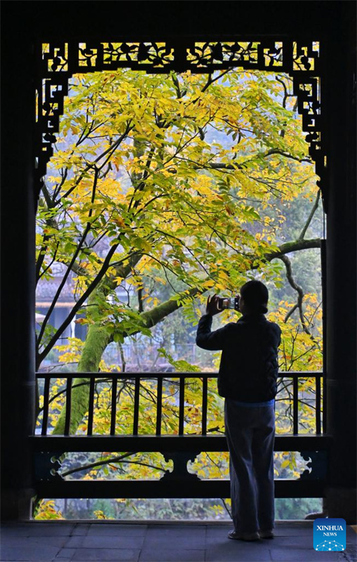 Visão detalhada do sistema de irrigação de Dujiangyan em Chengdu, China