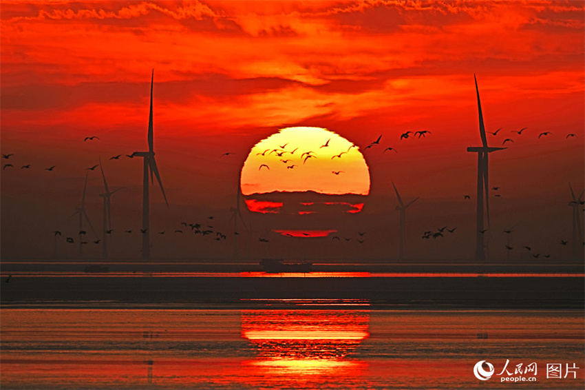 China: projeto de energia eólica offshore mais distante conecta à rede elétrica