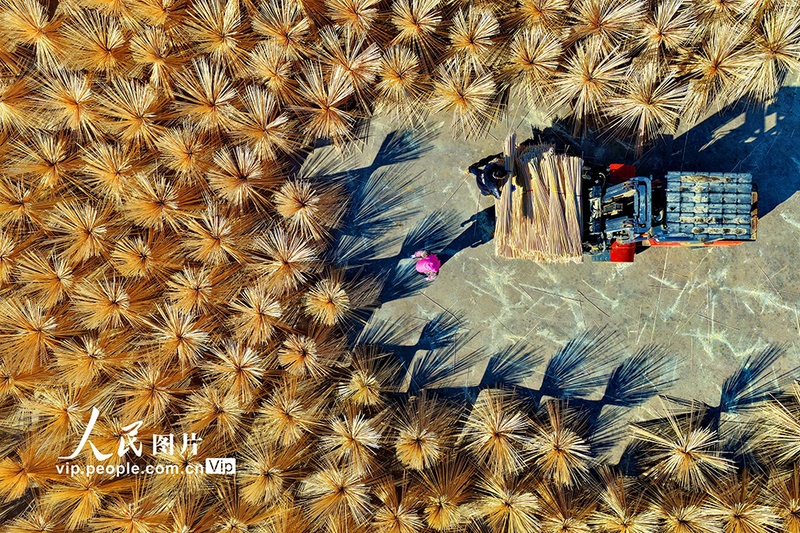 Indústria do bambu impulsiona renda rural em Guangchang, no leste da China
