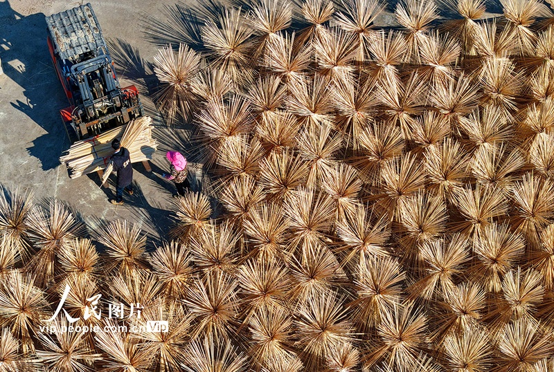 Indústria do bambu impulsiona renda rural em Guangchang, no leste da China