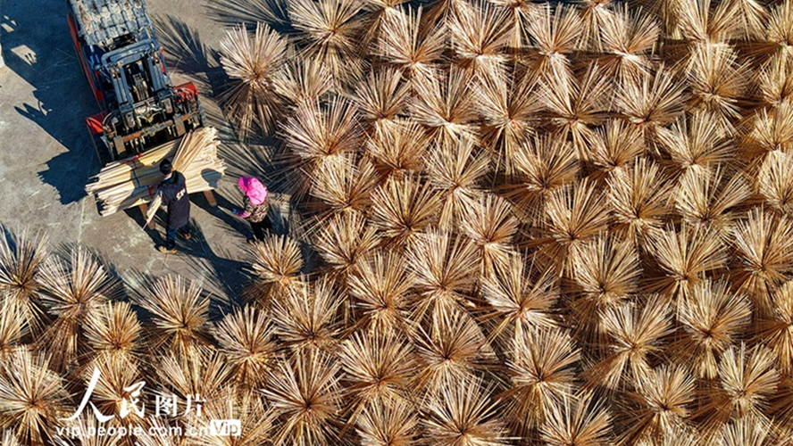 Indústria do bambu impulsiona renda rural em Guangchang, no leste da China