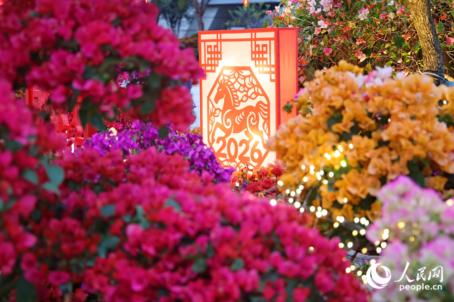 Xiamen se ilumina para receber Ano do Cavalo