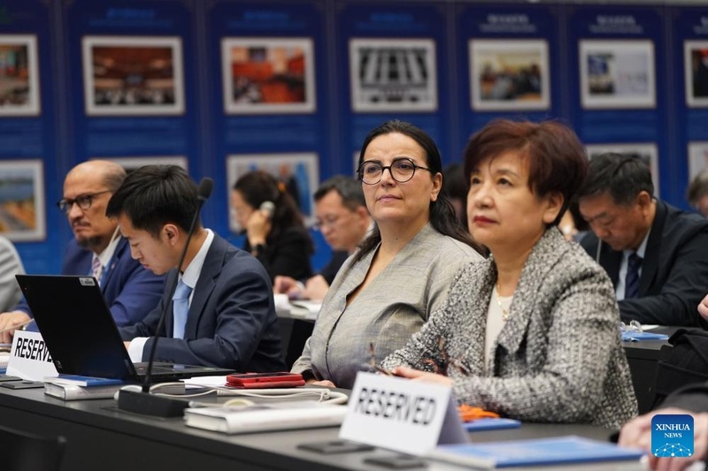 Seminário sobre governança global em Genebra marca lançamento da edição em inglês do Volume I de 