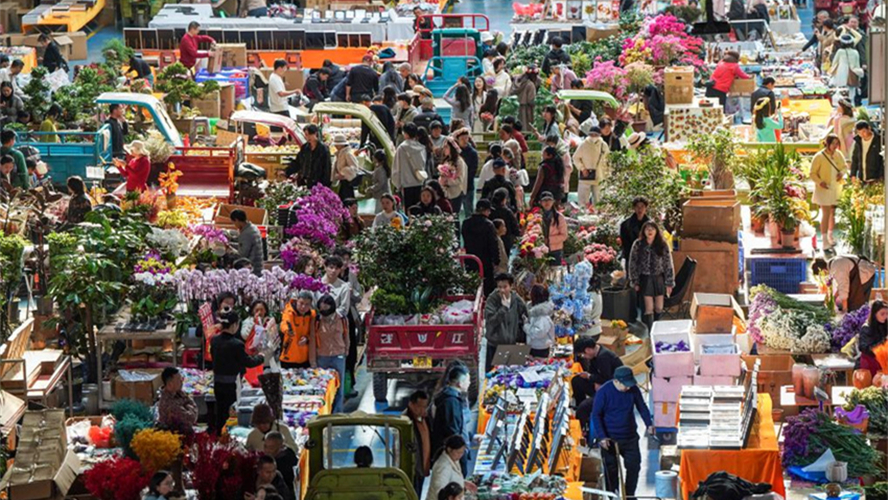 Flores festivas da “Capital Asiática das Flores” registram alta de vendas