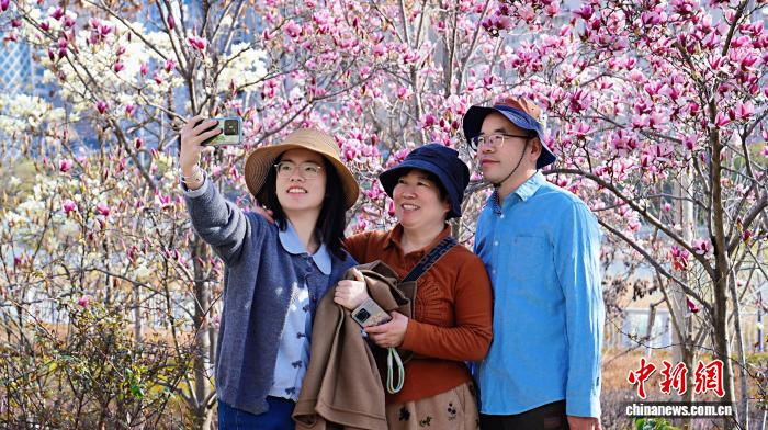 Galeria: parques de Longnan atravessam período de floração plena da primavera