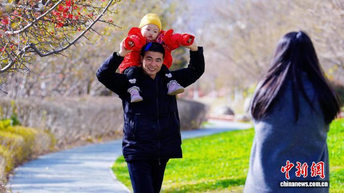 Galeria: parques de Longnan atravessam período de floração plena da primavera