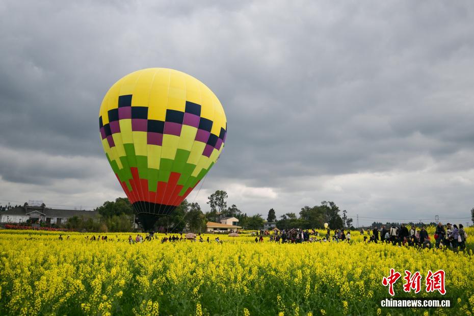 Campos de colza florescem, atraindo visitantes na província de Sichuan