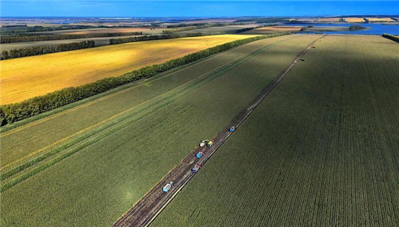 China espera safra abundante de grãos para 2026 Espera-se que a China garanta uma colheita abundante de grãos este ano, informou o Ministério da Agricultura e dos Assuntos Rurais nesta terça-feira.Neste ano, a produção de grãos de verão ultrapassou 150 milhões de toneladas pela primeira vez, e a produção de arroz precoce permaneceu acima de 28 milhões de toneladas pelo sexto ano consecutivo, disse um porta-voz do ministério em uma coletiva de imprensa.
