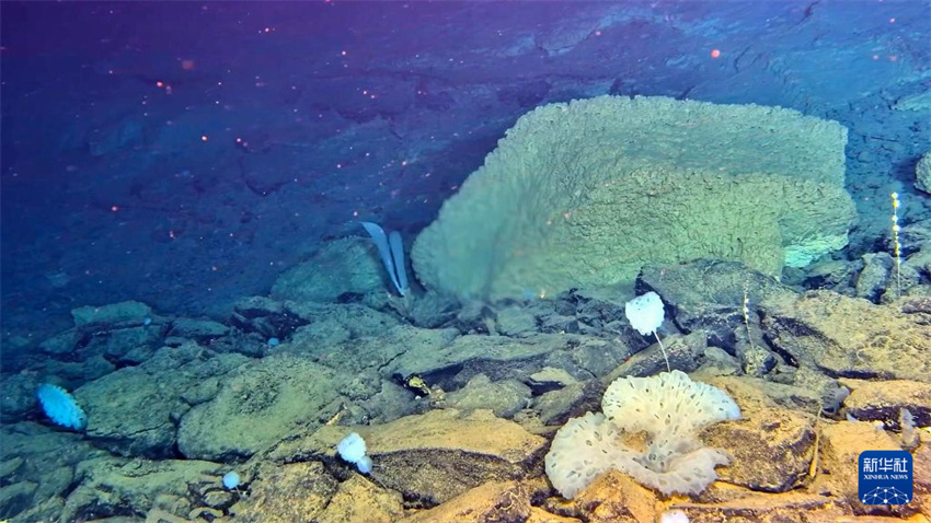 Submersível chinês Jiaolong conclui 467ª operação de mergulho